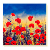 Sunset Poppies I